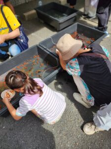 第2回たちばな祭り　～たちばなの里～