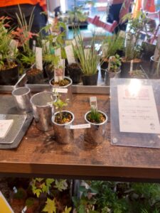 大阪・関西万博に東大阪のものづくり企業が集結！