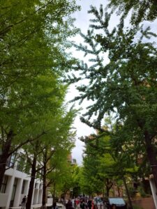 近大キッチンカーフェス2025