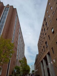 近大キッチンカーフェス2025