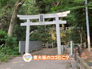 11月12日 東大阪のココどこ？(前回の答えもあるよ)