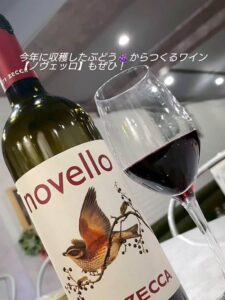 11月シェフおすすめ料理