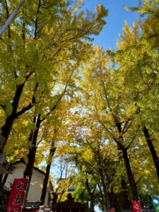11月15日（土）と16日（日）、東大阪・石切劔箭（いしきりつるぎや）神社で「参拝日和」が開催