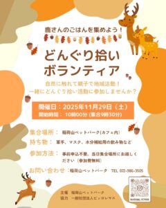 どんぐり拾いボランティア募集中