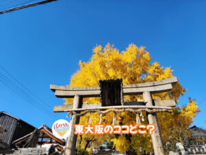 12月22日 東大阪のココどこ？(前回の答えもあるよ)