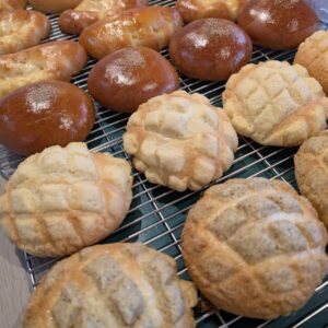 本日のおすすめ