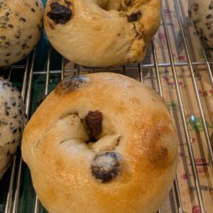 本日のおすすめ