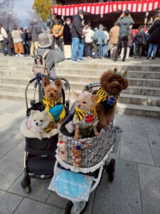 令和8年2月3日、石切神社にて節分祭が斎行されました。