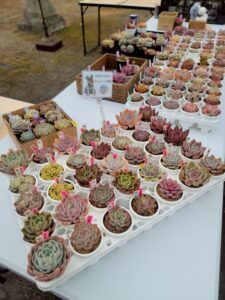 雪の中でも笑顔あふれる一日　2/8（日）開催「ご縁つながる花むすび市」