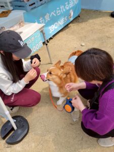 わんニャスフェスティバル in 稲荷山ペットパーク