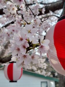 わんニャスフェスティバル in 稲荷山ペットパーク